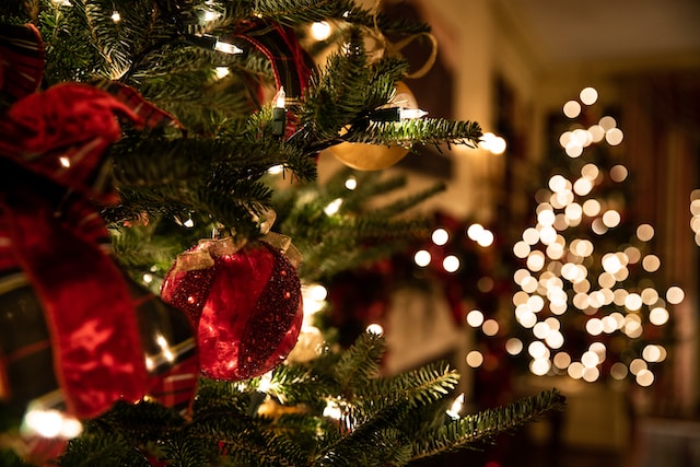 green Christmas tree - American Holidays (Christmas Day)